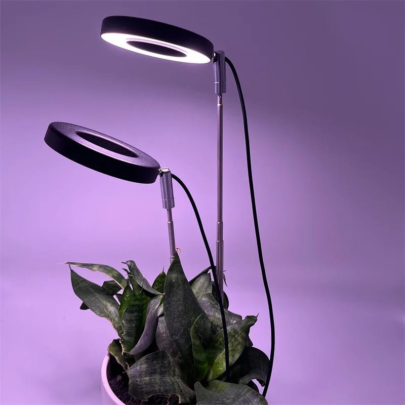 Plant Grow Light LED Growing Lamp Full Spectrum for Indoor Plants Height Adjustable Auto Timer 5V Idea for Small Plant Light